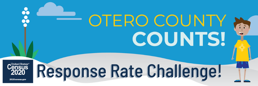 Census 2020 Contest Entry Link